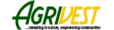 Website Logo x1